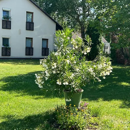 Noemi89 Apartman * Siofok