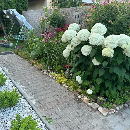 Noemi89 Apartman